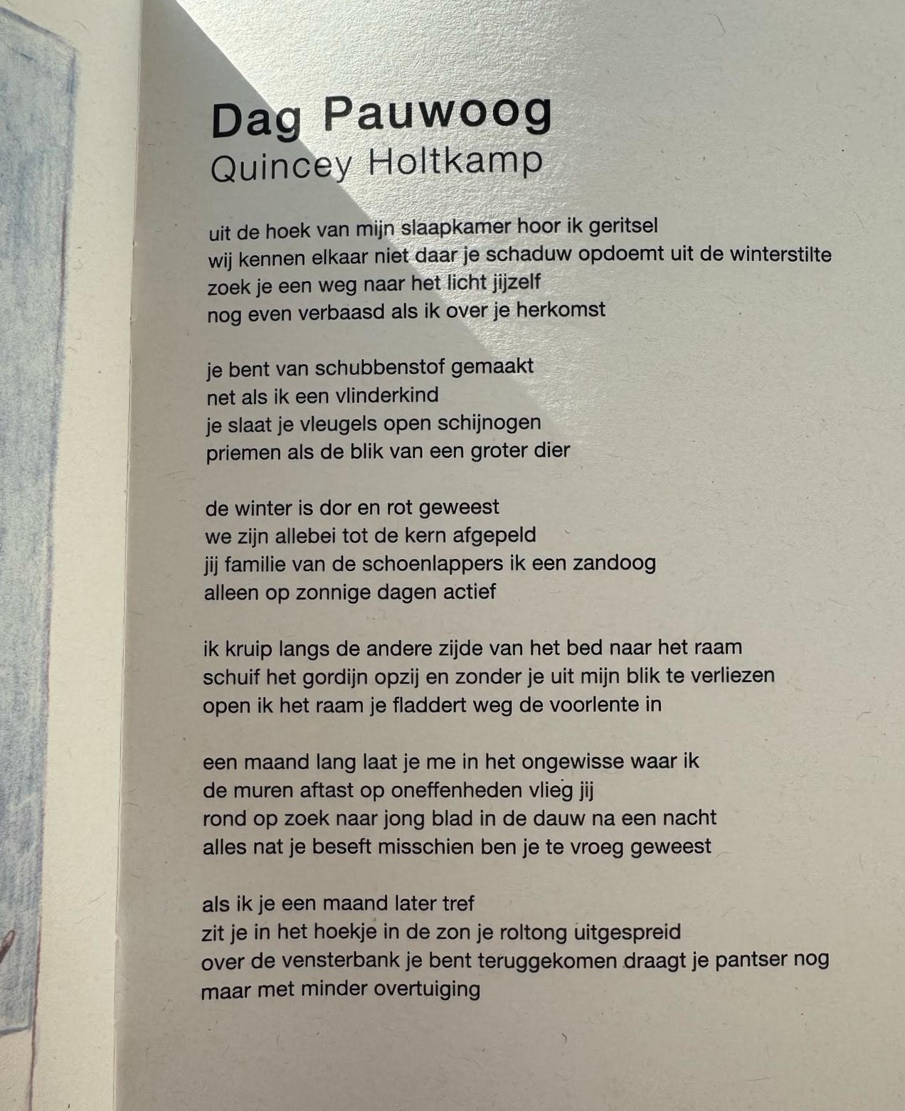 Showcase optie 4